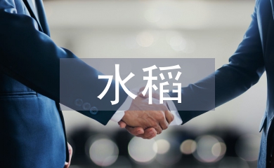 水稻種植規(guī)劃