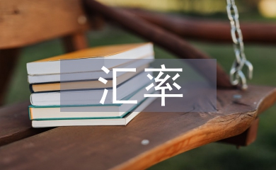 用金融衍生工具把控匯率風(fēng)險(xiǎn)策略