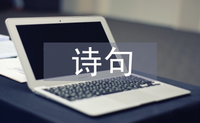 元宵節(jié)的詩(shī)句古詩(shī)