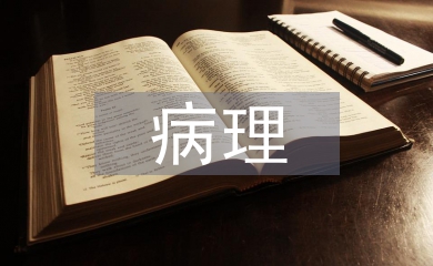 病理院感科工作計(jì)劃