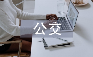 公交服務(wù)質(zhì)量問(wèn)題與對(duì)策