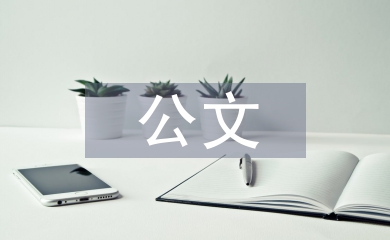 公文事故情況報(bào)告