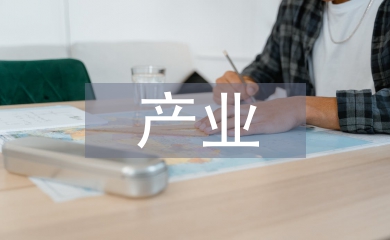 產(chǎn)業(yè)經(jīng)濟(jì)學(xué)基本理論