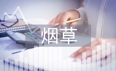 淺談煙草企業(yè)財務預算管理