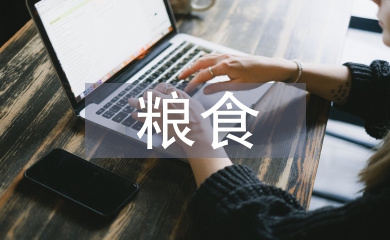 糧食工作要點(diǎn)