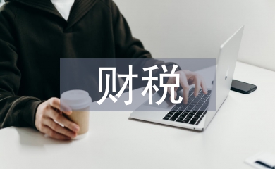 財(cái)稅管理服務(wù)
