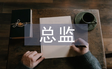 人力資源總監(jiān)工作總結(jié)
