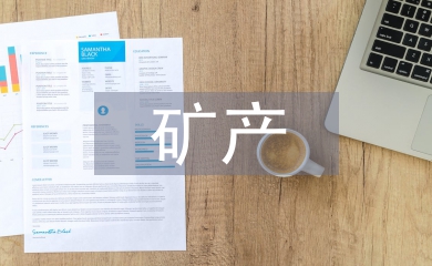 礦產(chǎn)資源法實施細(xì)則
