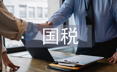 國稅實訓(xùn)總結(jié)