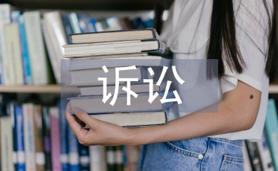 知識(shí)產(chǎn)權(quán)訴訟