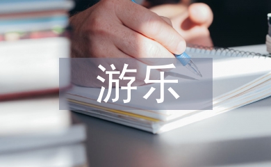 游樂實(shí)訓(xùn)總結(jié)