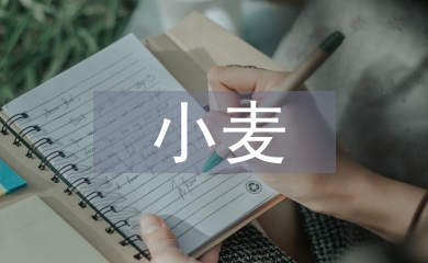 小麥主要病蟲(chóng)害防治