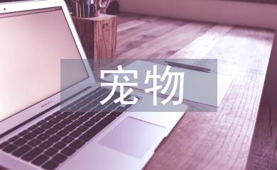 寵物醫(yī)生論文