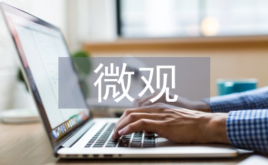 微觀經(jīng)濟(jì)學(xué)論文