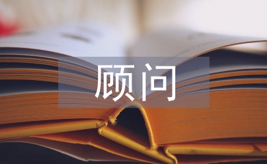 顧問(wèn)總結(jié)