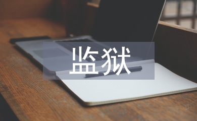 監(jiān)獄醫(yī)生工作總結