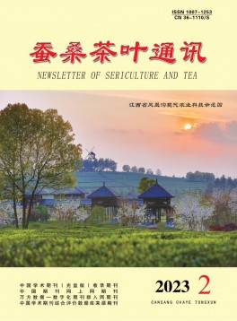 茶?？萍寂c信息